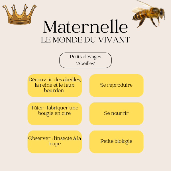 Maternelle